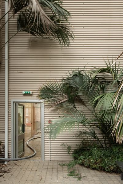 Norwich's Abandoned Jungle