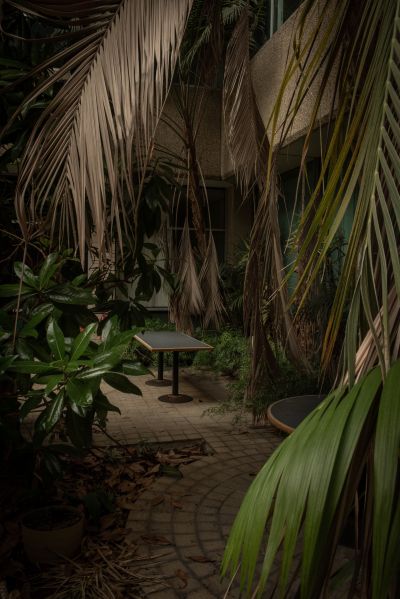 Norwich's Abandoned Jungle